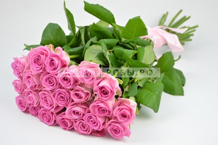 Розы Аква купить в Москве недорого
